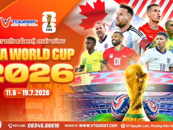 Halink Test trạng thái